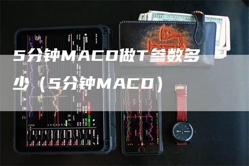 5分钟MACD做T参数多少（5分钟MACD）