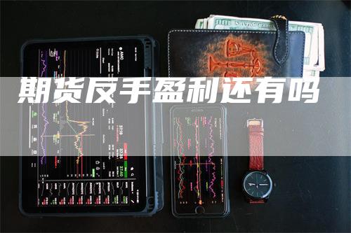 期货反手盈利还有吗
