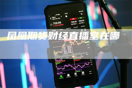 凤凰期货财经直播室在哪