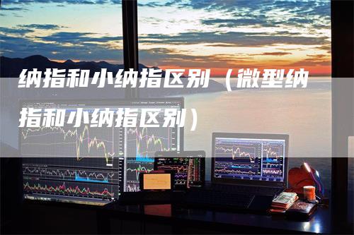 纳指和小纳指区别（微型纳指和小纳指区别）