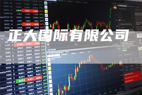 正大国际有限公司