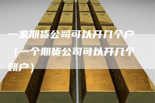 一家期货公司可以开几个户（一个期货公司可以开几个账户）