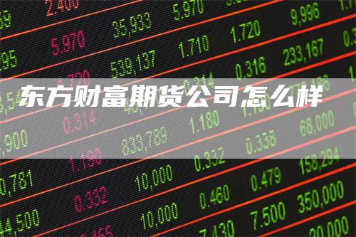 东方财富期货公司怎么样
