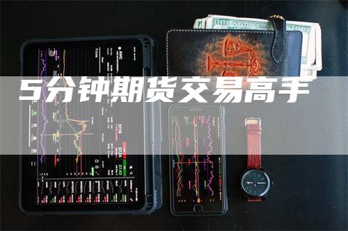 5分钟期货交易高手