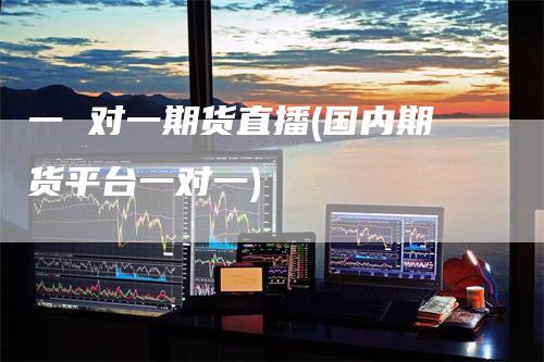 一 对一期货直播(国内期货平台一对一)